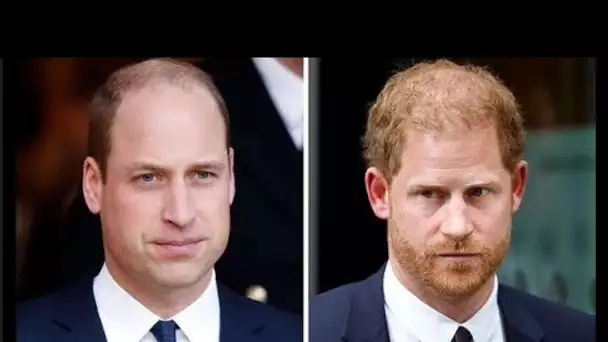 Le « texte de dernière minute à Harry » du prince William a mis fin à la guerre totale au sein de la