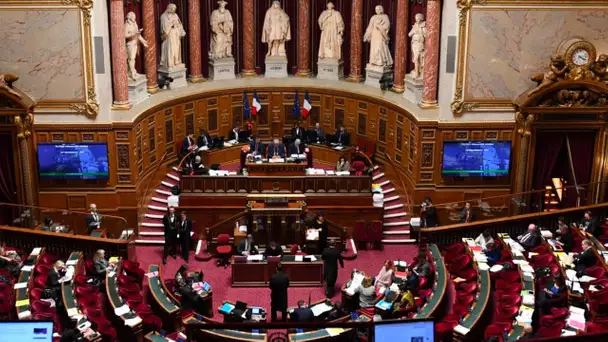 Création d'un parquet anti-stups, «DEA à la française»... Les propositions de la commission d'enq…