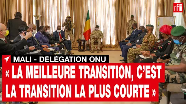 Mali : rencontre entre les autorités maliennes et la délégation du Conseil de sécurité de l'ONU •RFI