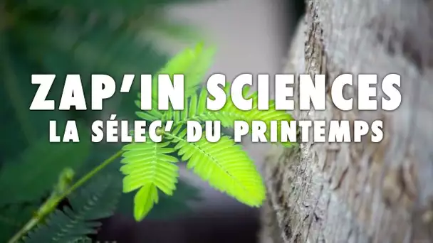 Zap'In Sciences : La sélec' du printemps - L'Esprit Sorcier