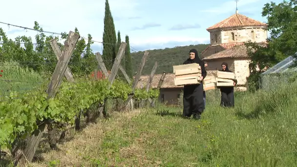 Ad'oc monastère de Solan dans le Gard : un paradis de l'agroécologie