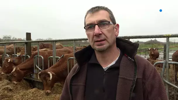 Tempête de 1999 : "j'ai tout perdu", Stéphane Raymond, éleveur à Saint-Ciers-sur-Gironde