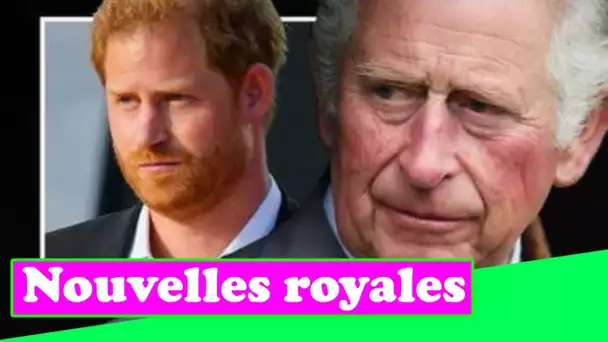 Le prince Harry remarque le « danger réel pour la monarchie » de la famille royale et le prince Char