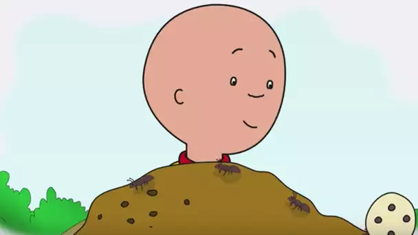 ►  Caillou en Français | épisode longue durée ✔  Caillou Holiday Movie  Caillou Full Episodes