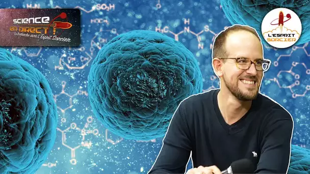 Comment reconstituer des organes ? | Maxime Mahé - Science En Direct 2021