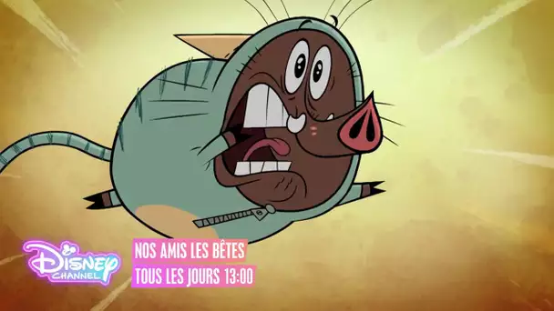 Nos amies les bêtes -Tous les jours sur Disney Channel !