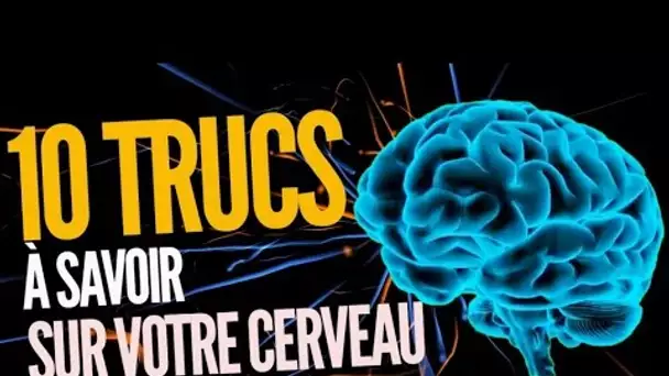 Top 10 des choses que vous ignoriez sur votre cerveau