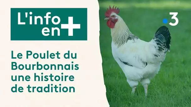 L'info en plus - Le Poulet du Bourbonnais une histoire de tradition