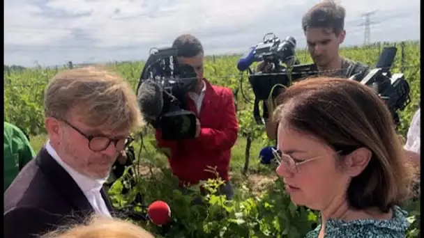 Orages :  les annonces du ministre de l'agriculture en déplacement en Gironde