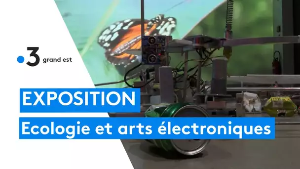 Exposition : écologie et arts électroniques