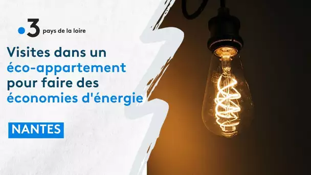 Economie d'énergie : les petits gestes du quotidien font du bien au porte-monnaie et à la planète