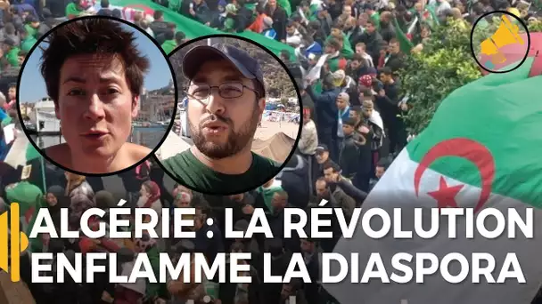 Les Haut-Parleurs : Algérie, la révolution enflamme la diaspora