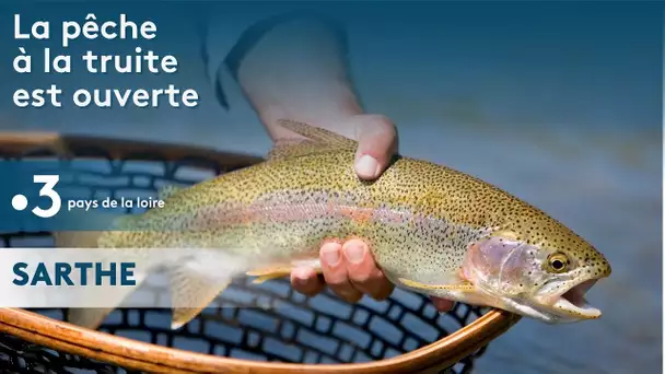 Sarthe : la pêche à la truite est ouverte