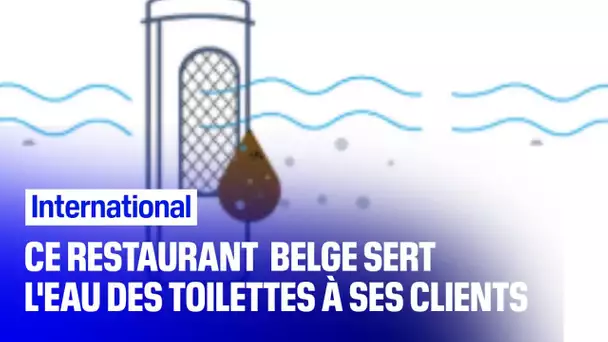 Ce restaurant belge sert à ses clients l'eau de ses toilettes