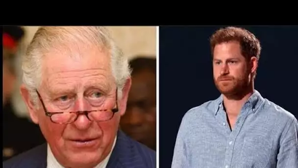 King 'offered Prince Harry an olive branch and he snapped it in half', claims commentator