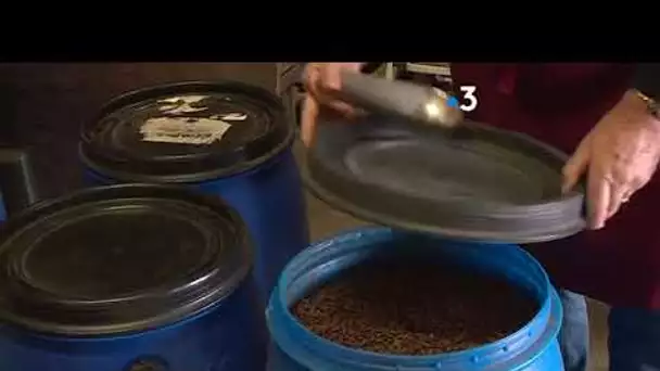 La recette de secrète de Stéphane, torréfacteur, qui crée un café 100% arabica à Albi dans le Tarn