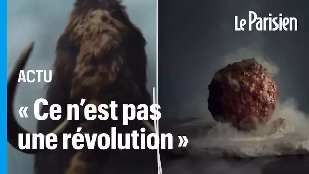 Boulette de viande de mammouth : « Un bon coup marketing mais pas une révolution »