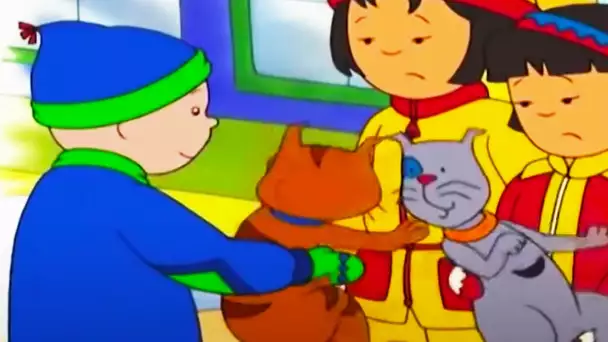 Caillou et la Promenade en Hiver | Caillou en Français