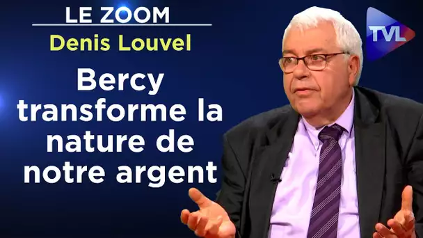 Entre impôt et redistribution, où va notre argent ? - Le Zoom - Denis Louvel - TVL