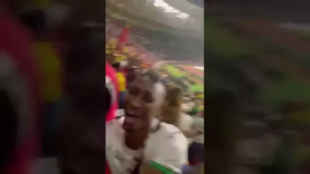 L’explosion de joie du Sénégal 🇸🇳