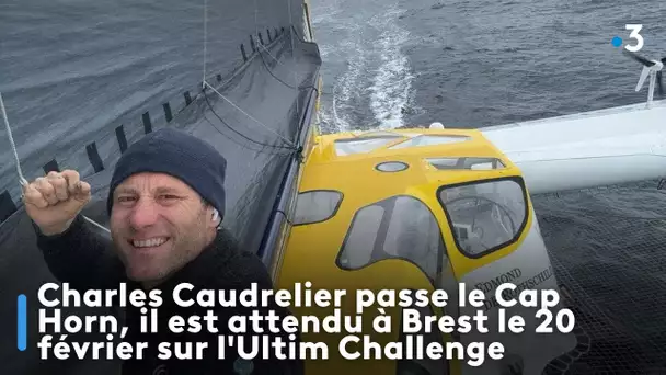 Charles Caudrelier passe le Cap Horn, il est attendu à Brest le 20 février sur l'Ultim Challenge