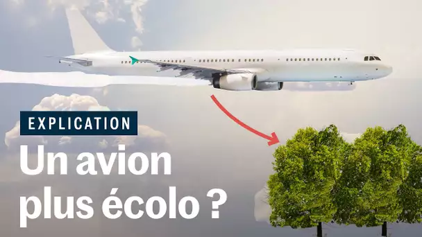 Compenser nos voyages en avion en plantant des arbres ?