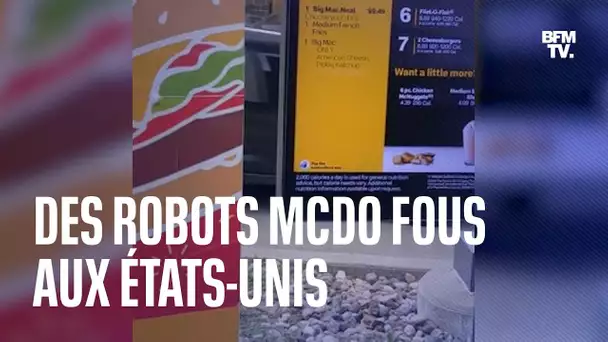 Aux États-Unis, les robots McDo rendent fous les clients