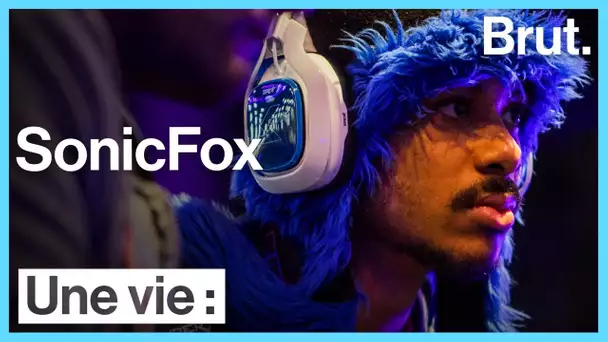 Une vie : SonicFox