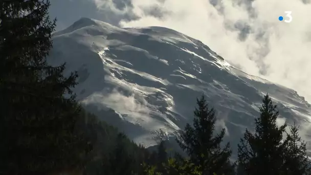 Chamonix : au cimetière du Biollay, ces tombes qui font vivre la mémoire de l'alpinisme