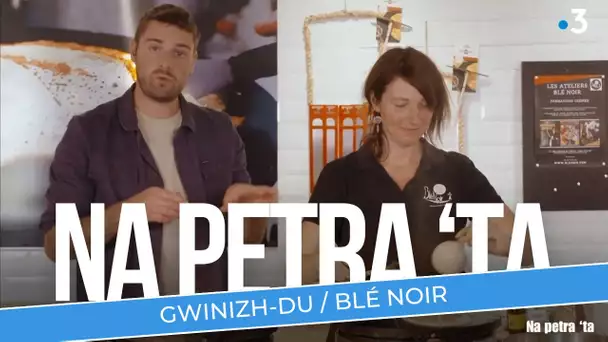 Na petra 'ta : Gwinizh-du / Blé noir