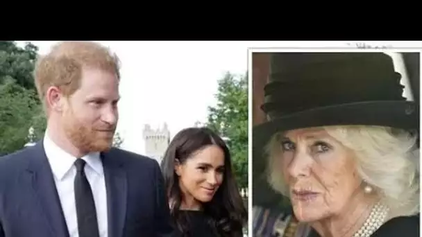 Camilla pressenti pour aider le prince Harry et Meghan Markle à retourner dans la famille royale