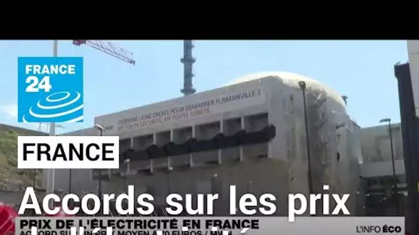 France : l'Etat et EDF s'accordent sur un prix de l'électricité • FRANCE 24