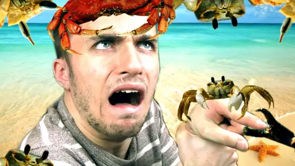 DES CRABES, DES CRABES PARTOUT ! (Stranded Deep)