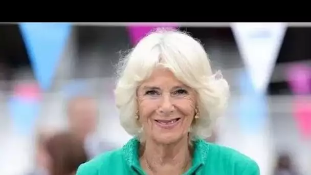 Besotted': Camilla va se mettre à la place de Queen en tant que figure de proue des courses de cheva