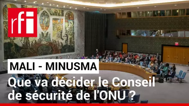 Minusma : le Conseil de sécurité va-t-il acter la demande du Mali ? • RFI