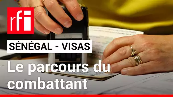 Sénégal : des ONG dénoncent le traitement injuste des demandes de visas pour l’Europe • RFI