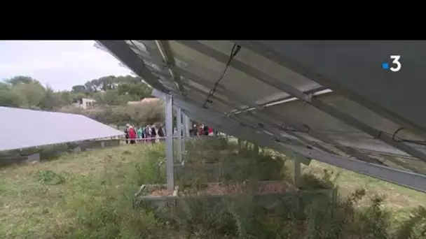 Ad'Oc dans le Gard : des habitants d'Aubais produisent leur électricité
