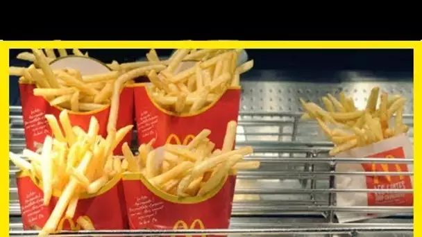 Du silicone et du pétrole dans les frites du McDo