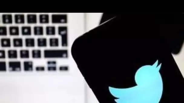 Cyberharcèlement : Des victimes attaquent Twitter en justice, faute de coopération