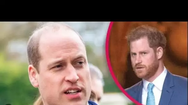 "Aucune chance" pour Harry "pourparlers de paix" alors que William refuse de rencontrer son frère