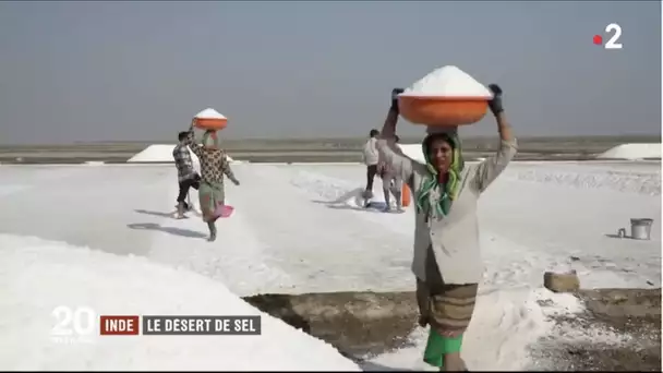 Inde : la face cachée du désert blanc de Kutch