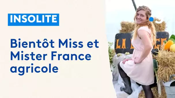 Bientôt Miss et Mister France agricole