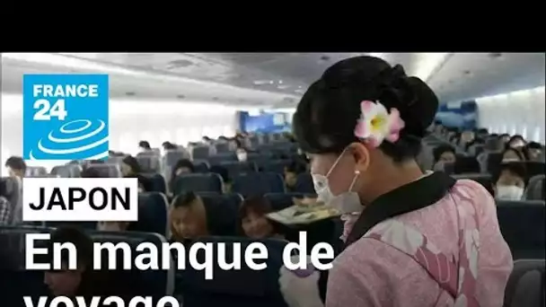 Japon : des vols vers nulle part • FRANCE 24