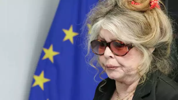 Brigitte Bardot : sa lettre choc à Nicolas Hulot