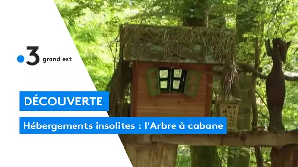 Hébergements insolites : l'Arbre à cabane
