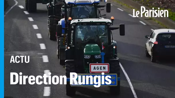 « Une question de survie » : partis d’Agen, ces agriculteurs veulent bloquer Rungis