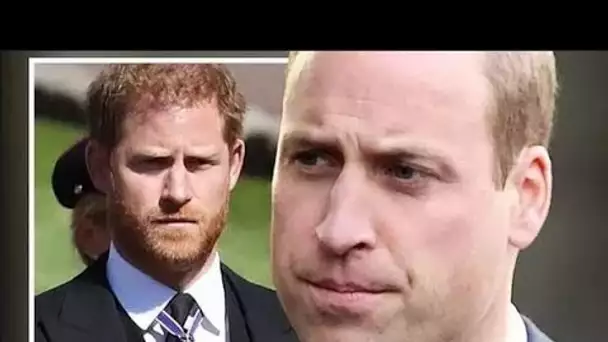 Le prince William "essaye d'accepter qu'il a perdu son frère qu'il a connu" comme l'ont confirmé les