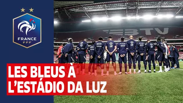 Entrainement à l'Estádio da Luz I FFF 2020
