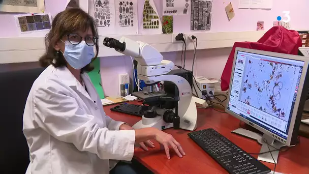 Besançon : visites insolites dans les laboratoires du CNRS de l'université de Franche-Comté