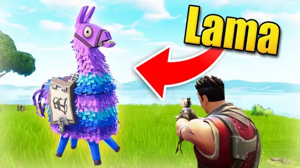 J&#039;AI TROUVÉ UN LAMA !